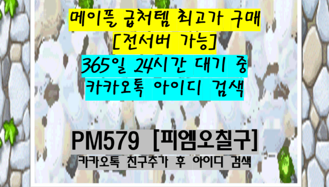 메이플 급처템