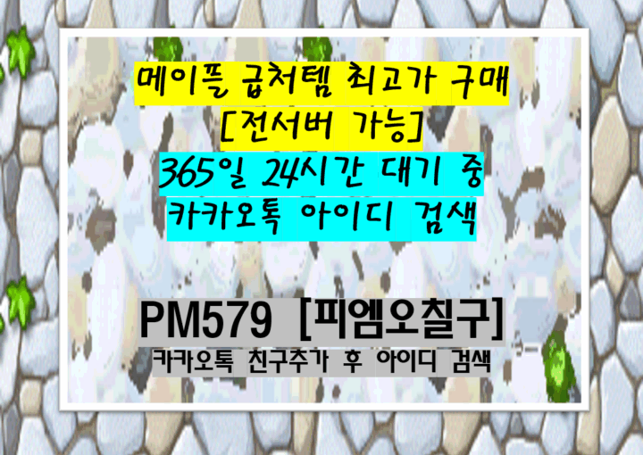메이플 급처템