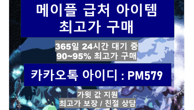 메이플 급처템