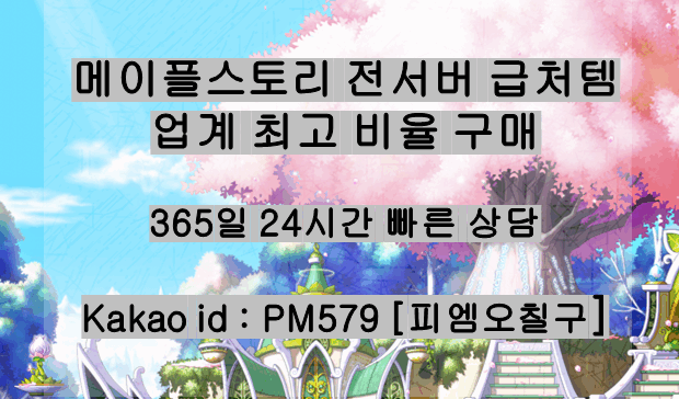 메이플급처템 메이플급처 메이플스토리급처템 메이플급처