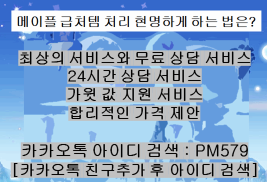 메이플 급처 메이플 급처템